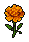 Marigold