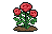 Rosebush
