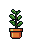Office Plant