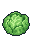 Cabbage