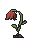 Wilted Flower (2)