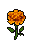 Marigold