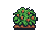 Berry Bush