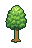 Tall Tree (2)