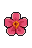 Blossom