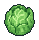 Cabbage